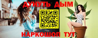мдпв Жуковский