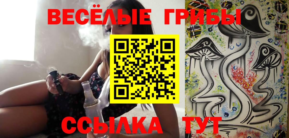 Псилоцибиновые грибы прущие грибы  Псилоцибиновые грибы мицелий  Электросталь  Вход с VPN 